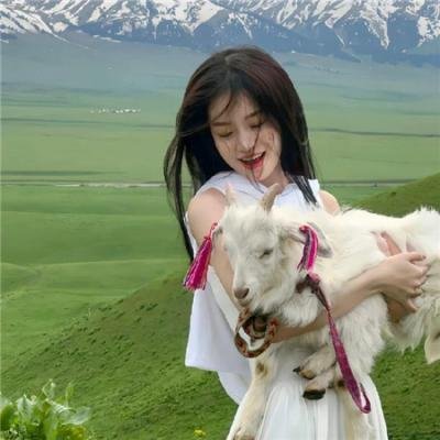 吃素的小爸第一季